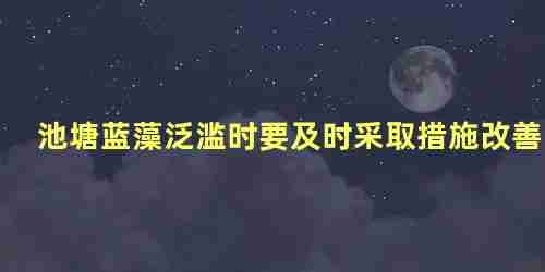 池塘蓝藻泛滥时要及时采取措施改善什么(池塘蓝藻泛滥时要及时采取措施改善什么问题)